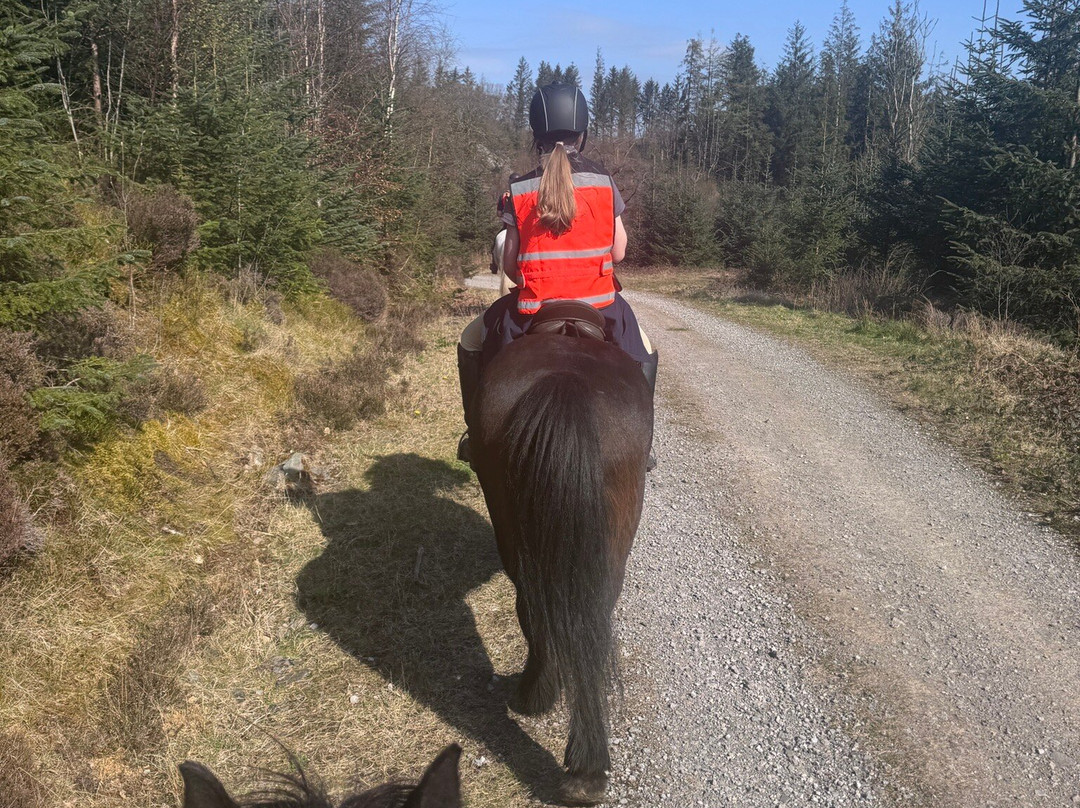 Fell Pony Adventures-温德米尔必去景点