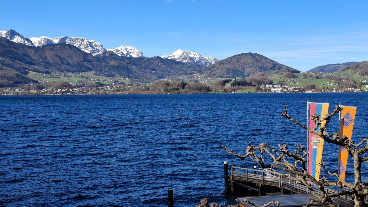 Seegasthof Hois'n Wirt - Hotel Mit Wellnessbereich-酒店景观