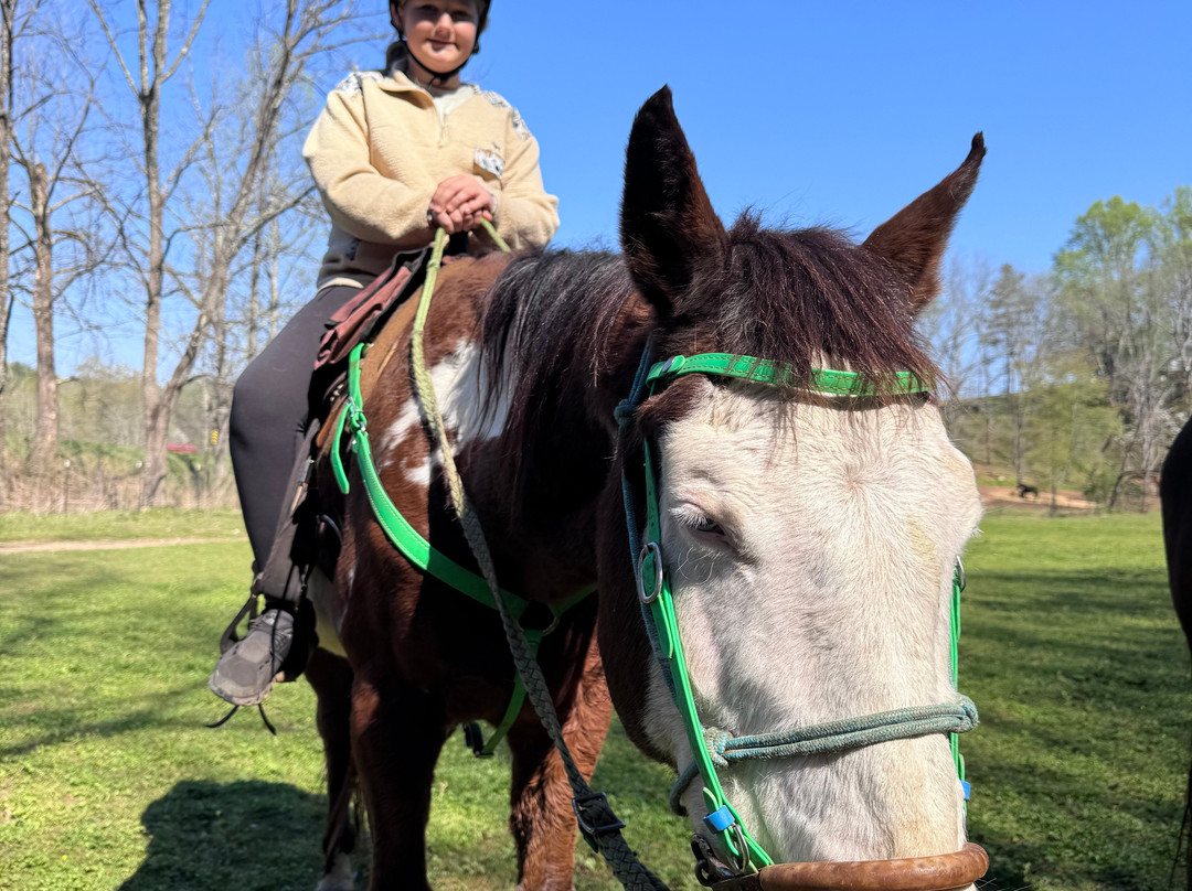 Cowgirl Up Stables-Cherry Log必去景点