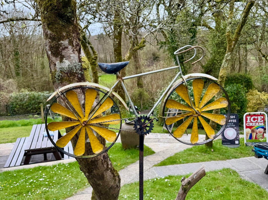 Trail Bike Hire-帕兹托必去景点