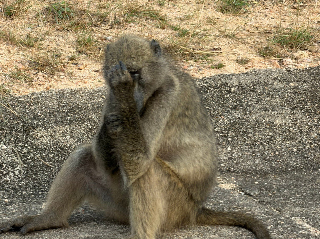 Touched By Nature-雾观必去景点