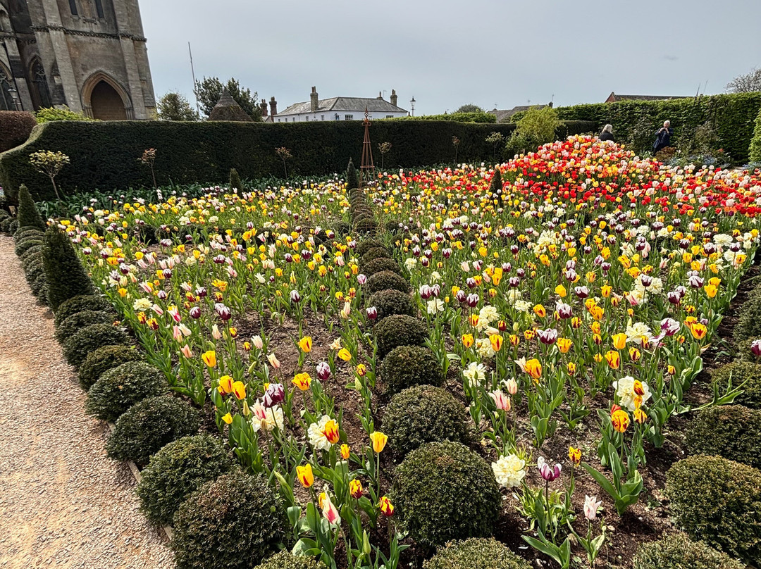 Arundel Castle-阿伦德尔必去景点