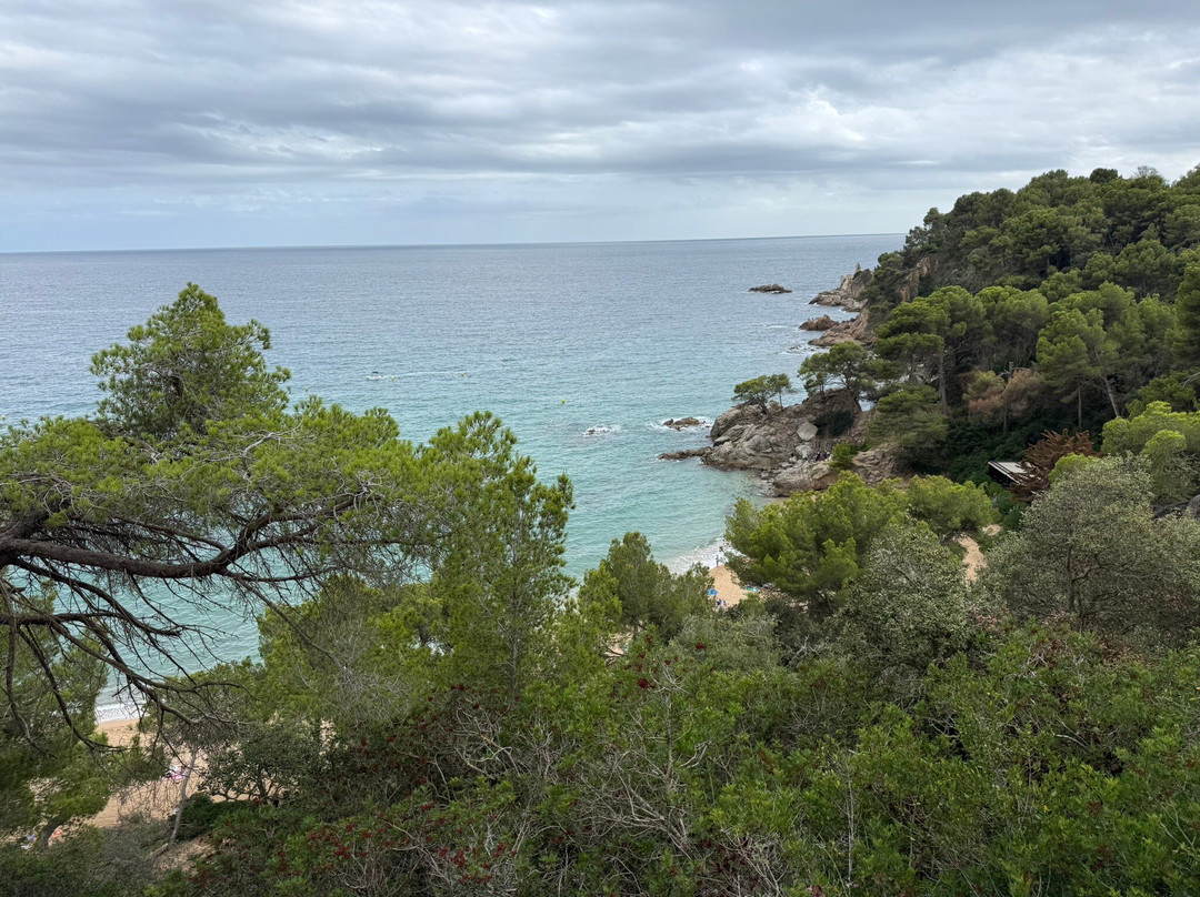 Playa de Santa Cristina-犹兰特德玛必去景点
