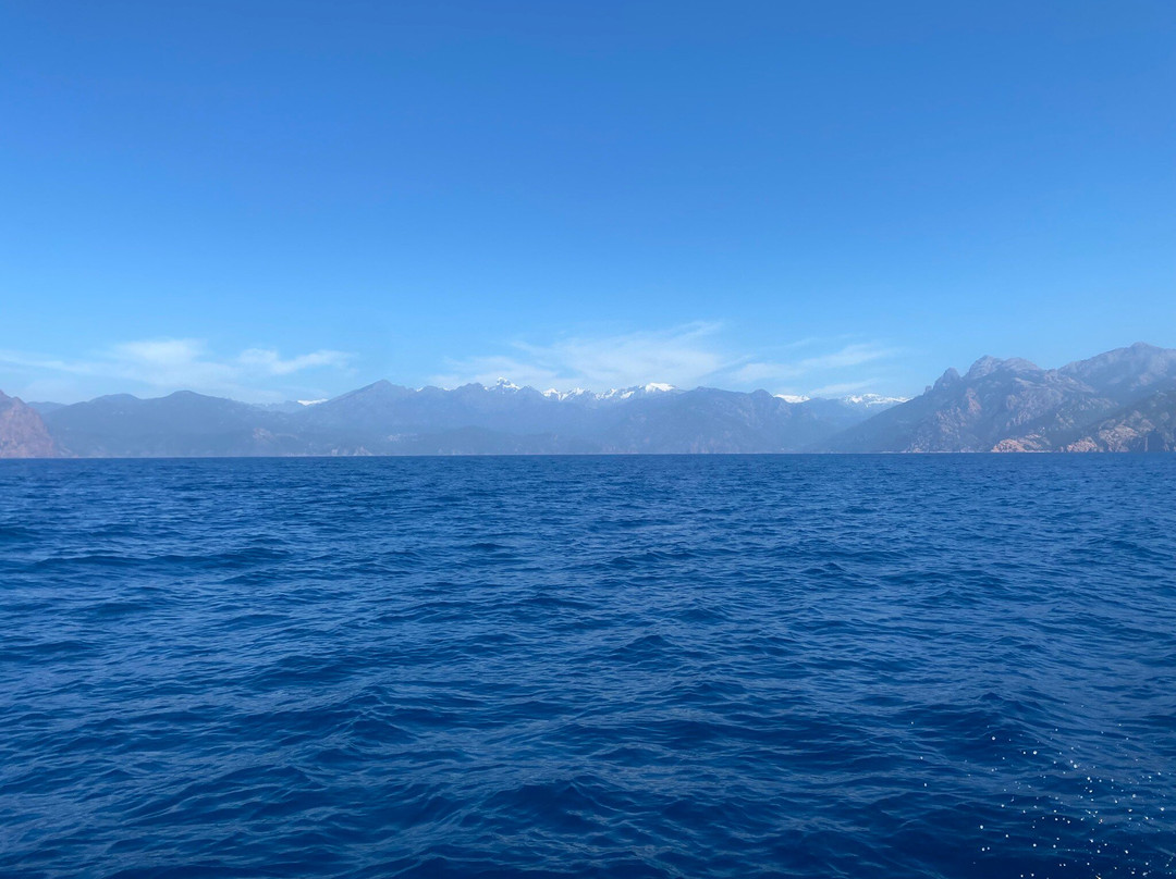 Corse Adrenaline-Porto必去景点