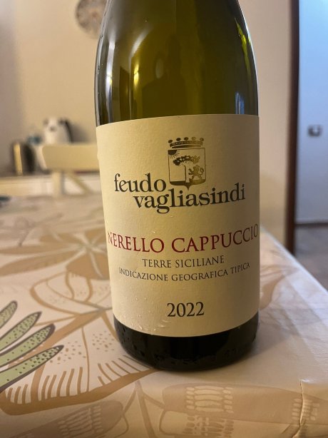 夫都法格力雅思蒂酒店-旅行者