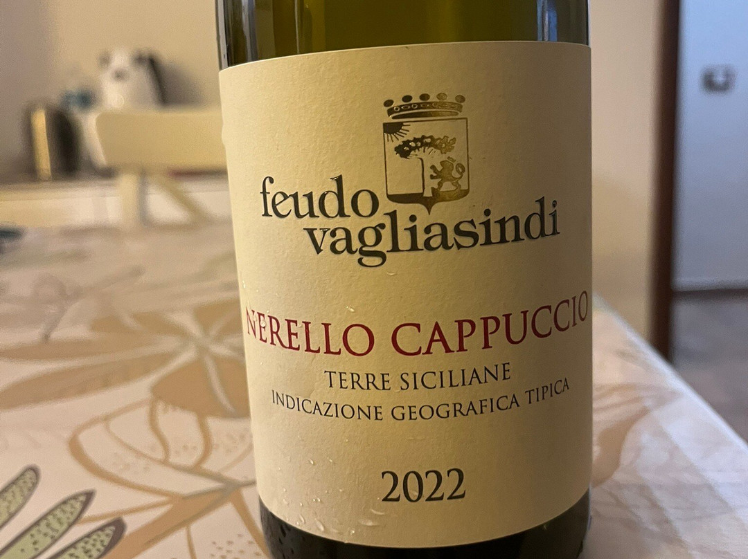 夫都法格力雅思蒂酒店主图