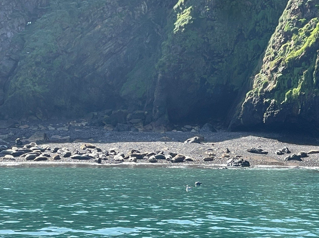 Pembrokeshire Islands Boat Trips-Marloes必去景点