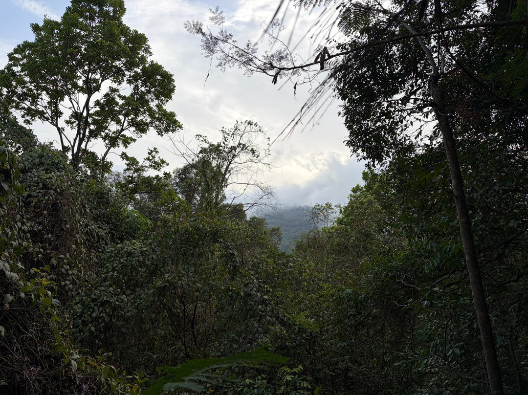 Tacugama Chimpanzee Sanctuary-弗里敦必去景点