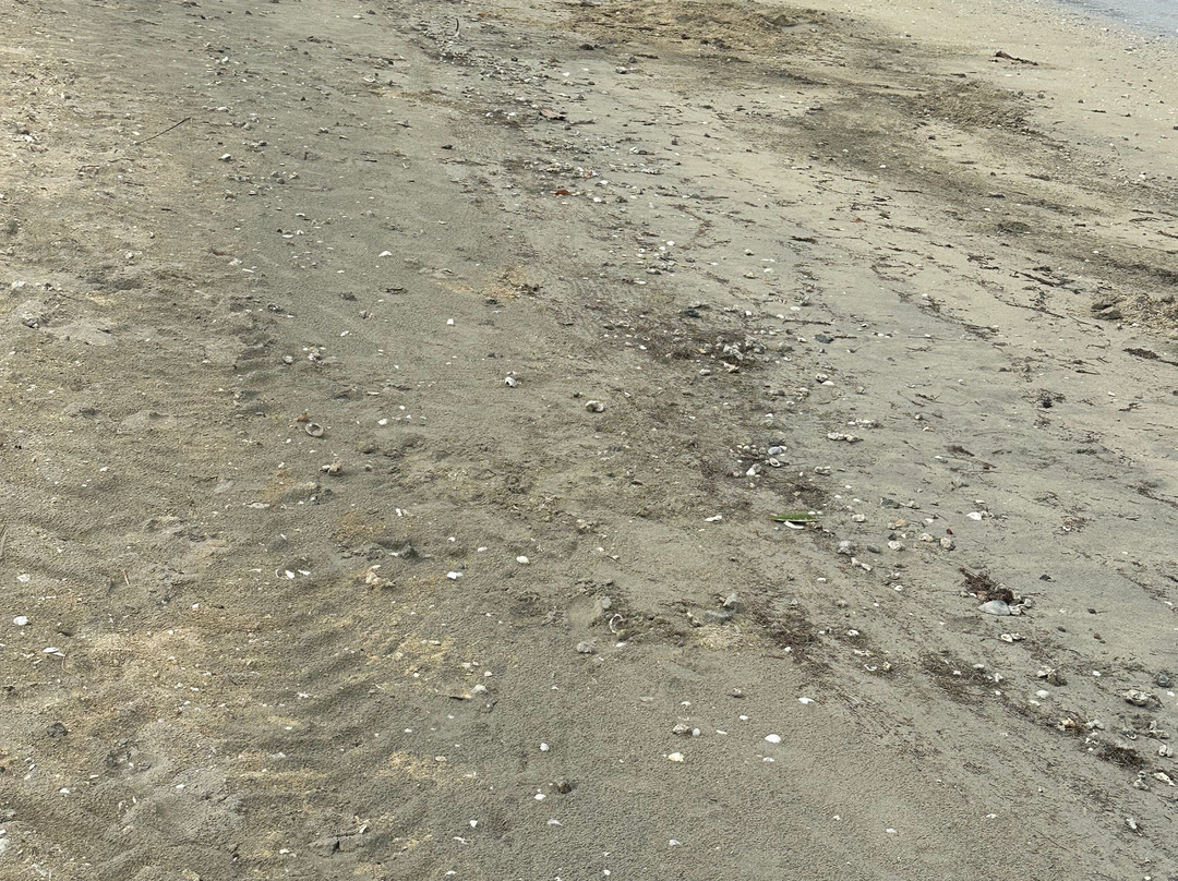 斐济六善酒店, IHG酒店主图