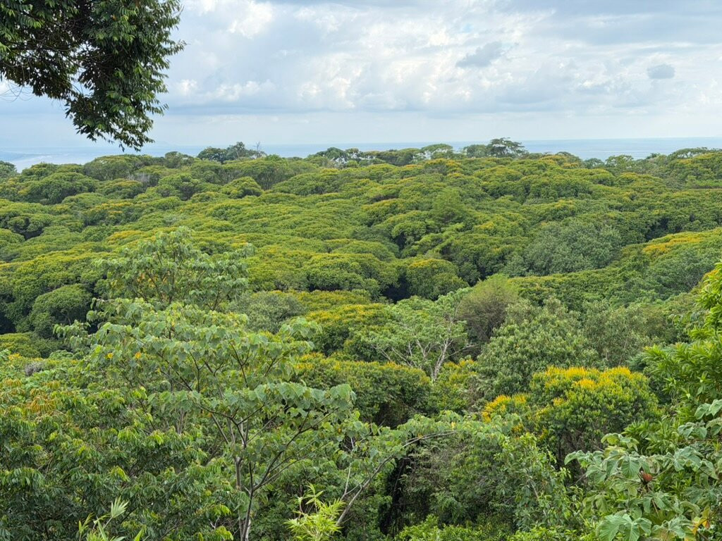 360度酒店-限成人主图