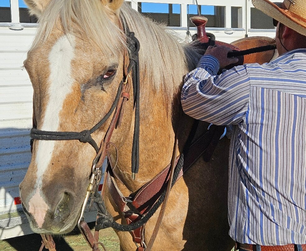 Wild West Horse Adventures-斯科茨代尔必去景点