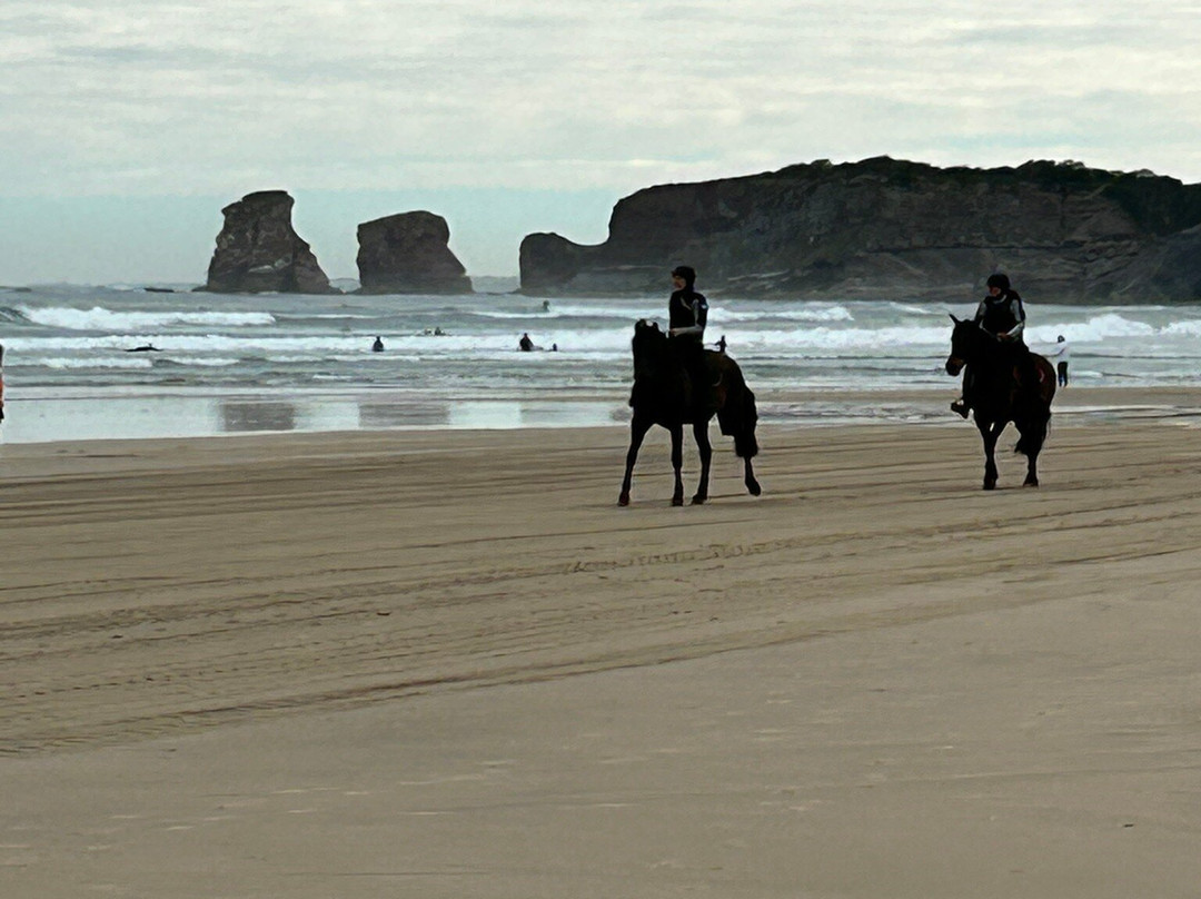Plage d'Hendaye-Hendaye必去景点