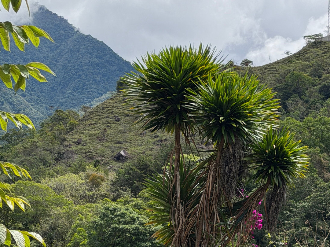 Rainforest Reef Escape-Cabo Matapalo必去景点