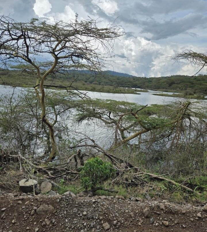 Northern Masailand Safaris-阿鲁沙必去景点