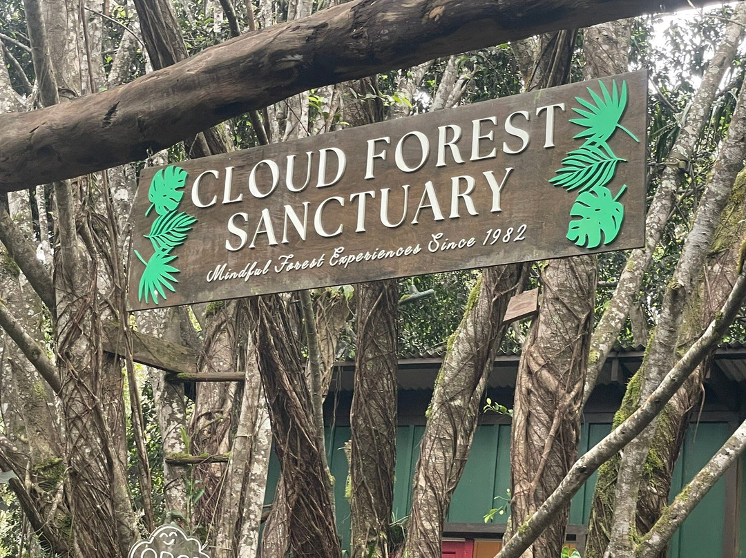 Kona Cloud Forest Sanctuary-凯鲁瓦-柯纳必去景点