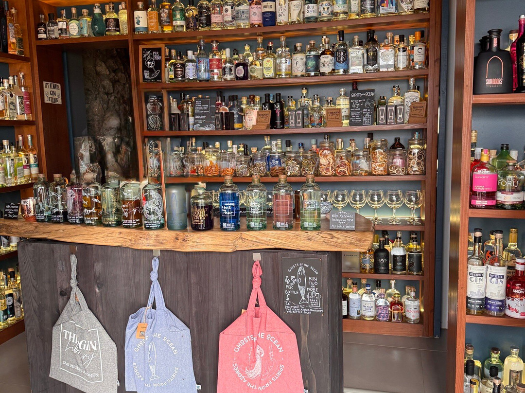 The Gin Library-蓬塔德尔加达必去景点