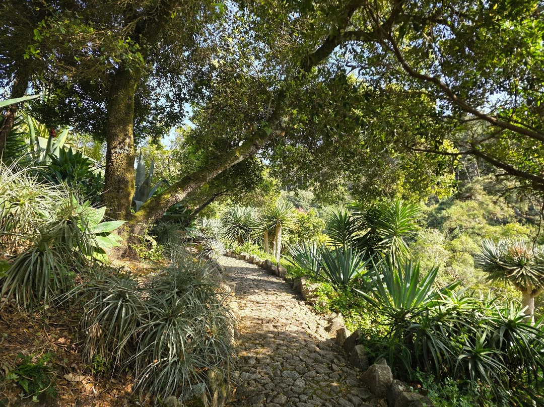 蒙塞拉特宫-辛特拉必去景点