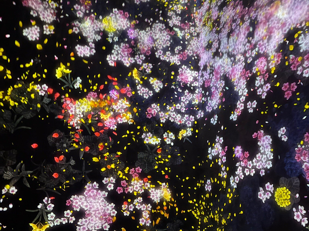 Teamlab Borderless Tokyo-港区必去景点