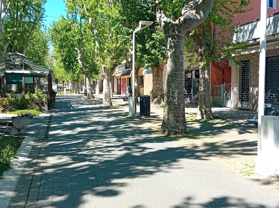 Viale dei Platani-Bellaria必去景点