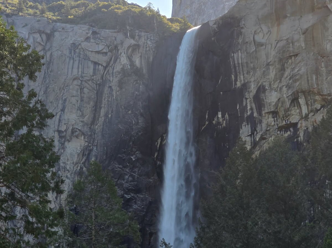 Yosemite 360 Tours-菲什营必去景点