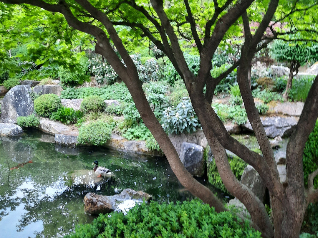 Japanischer Garten-维尔茨堡必去景点