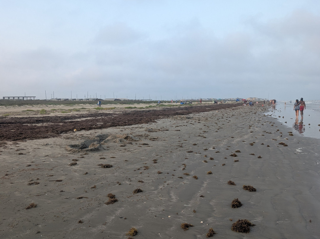 Galveston Island State Park-盖维斯顿必去景点