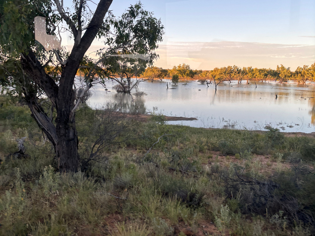 Big Red Tours-Birdsville必去景点