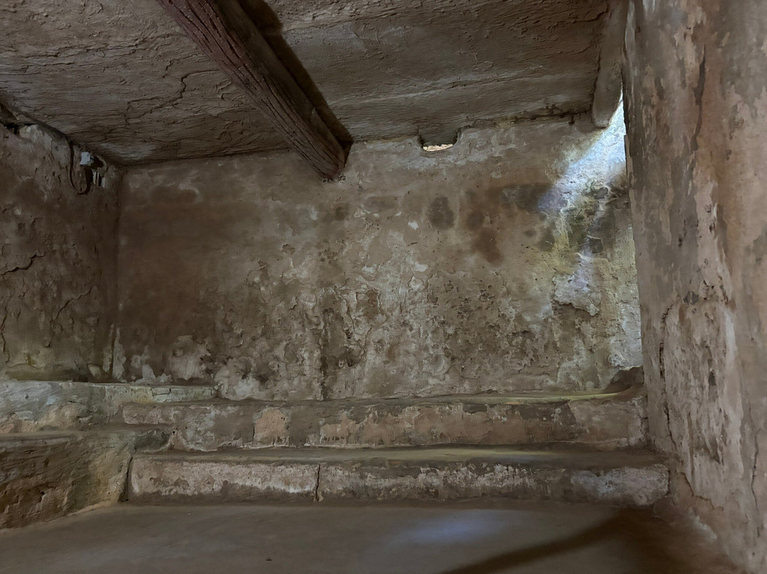 Ben Dinh Tunnels-胡志明市必去景点