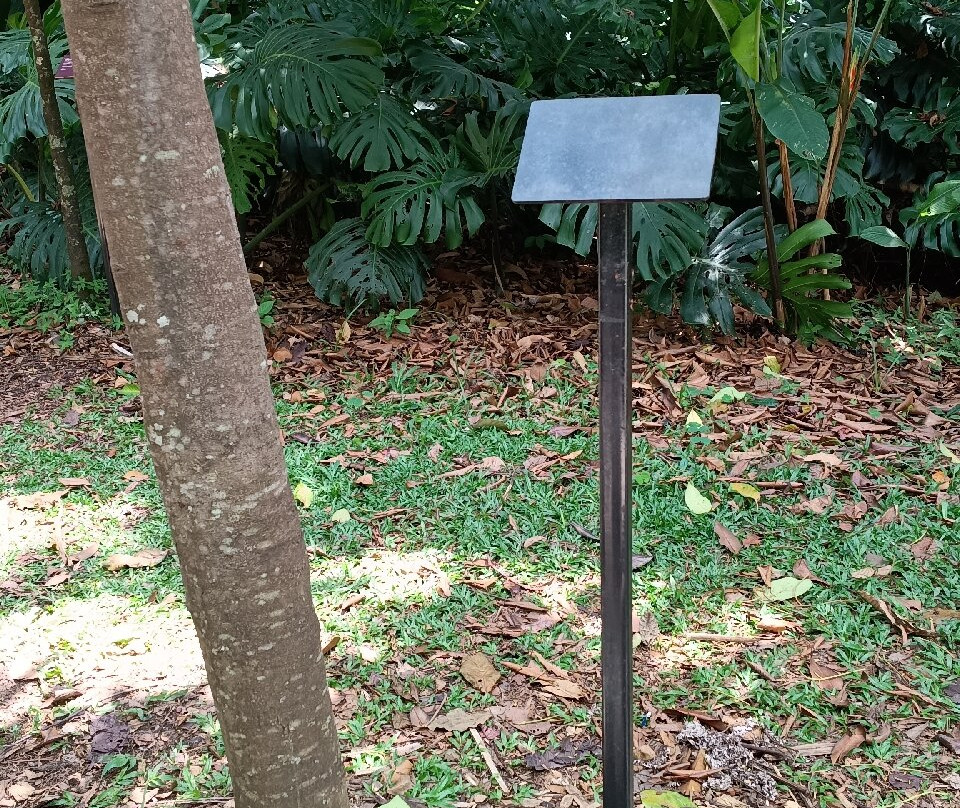 Jardín Botánico de Medellín-麦德林必去景点