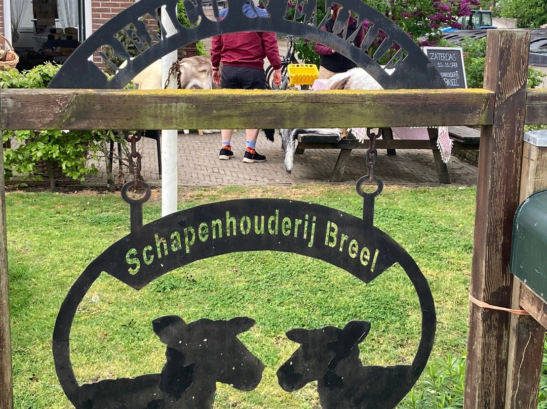 Schapenhouderij Breel-Veere必去景点