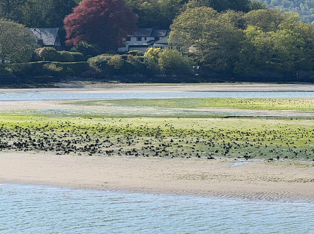 The Mawddach Trail-Dolgellau必去景点