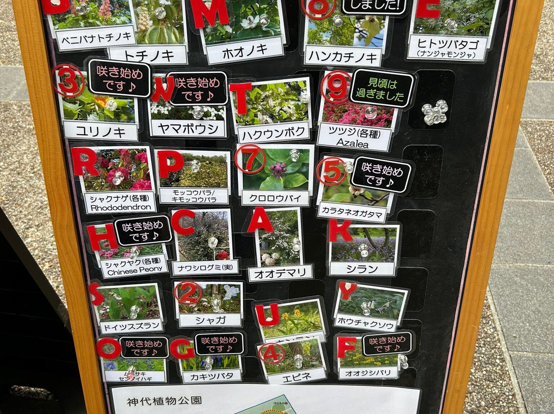 Jindai Botanical Park-调布市必去景点