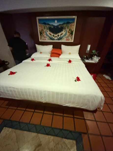 太平洋俱乐部度假酒店-旅行者