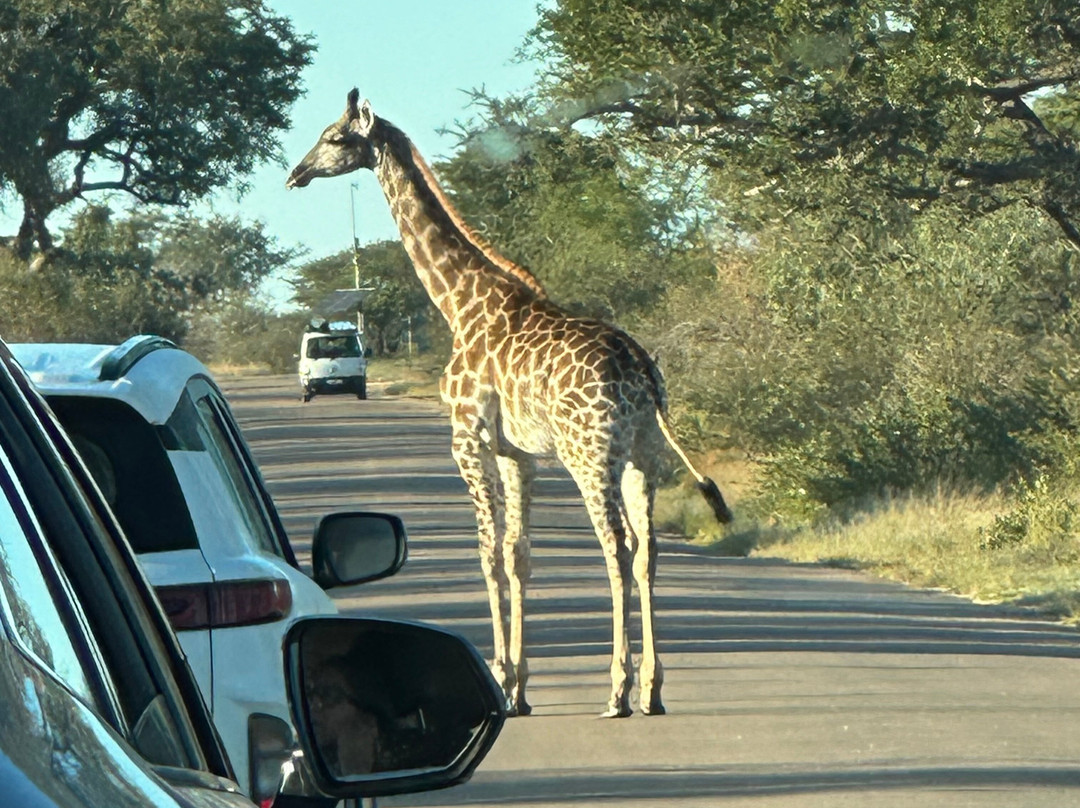 Africa Breeze Tours and Transfers-约翰内斯堡必去景点