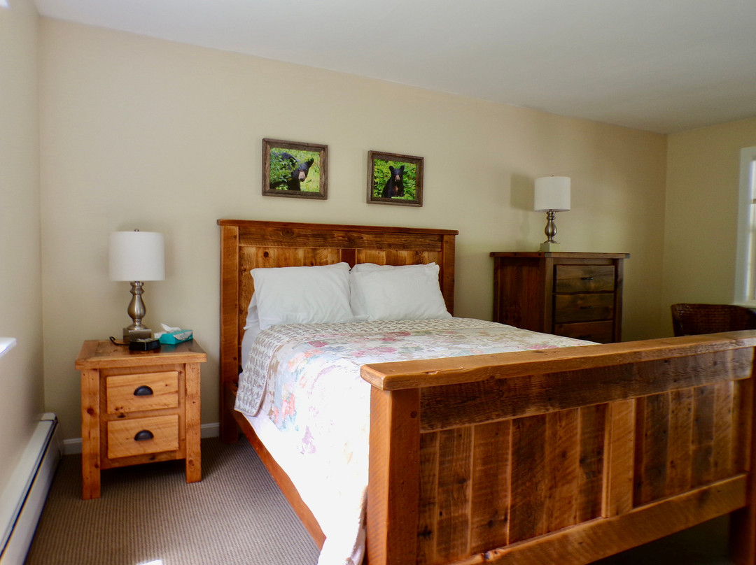 Aerie Inn of Vermont 旅馆主图
