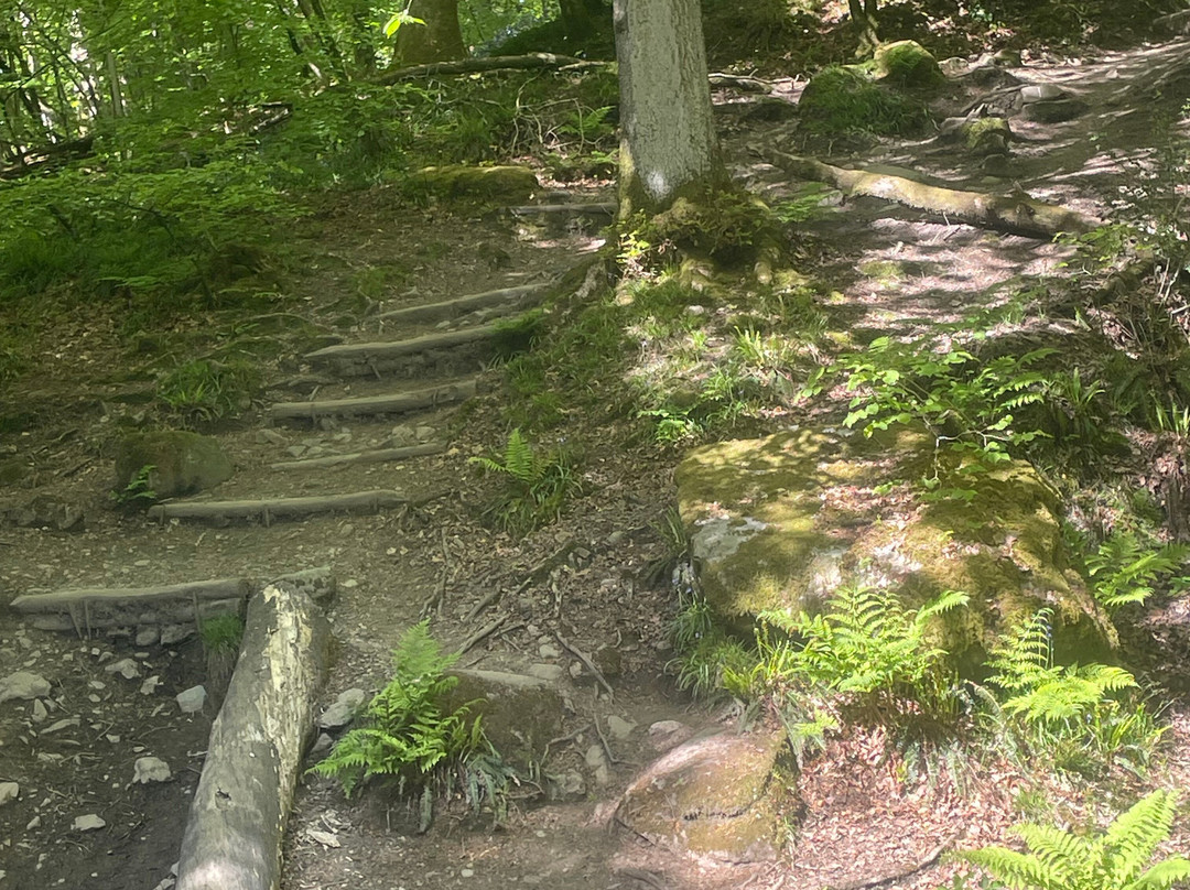 Stock Ghyll Force-安布赛德必去景点