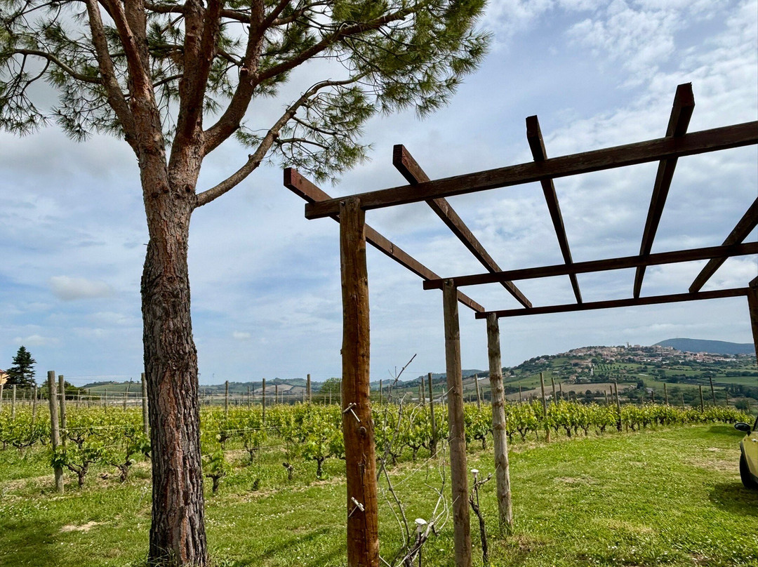 Umani Ronchi Winery-奥西莫必去景点