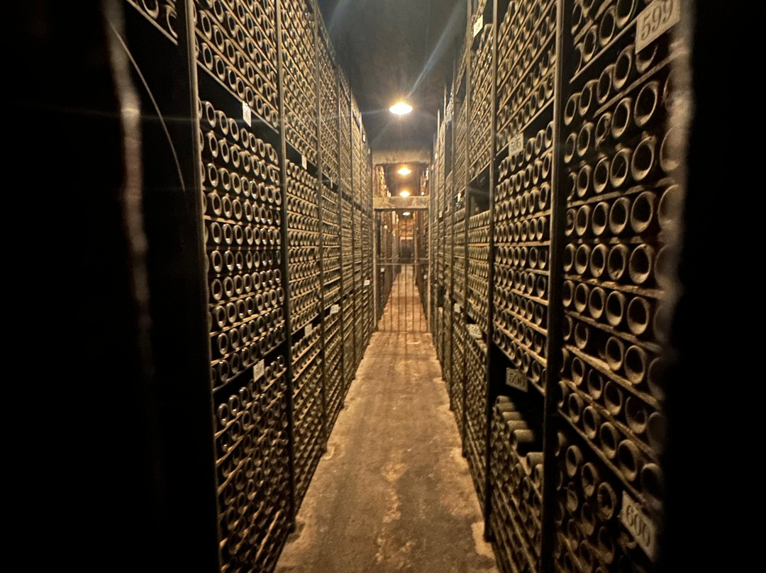 Bodegas Marques de Riscal-Elciego必去景点