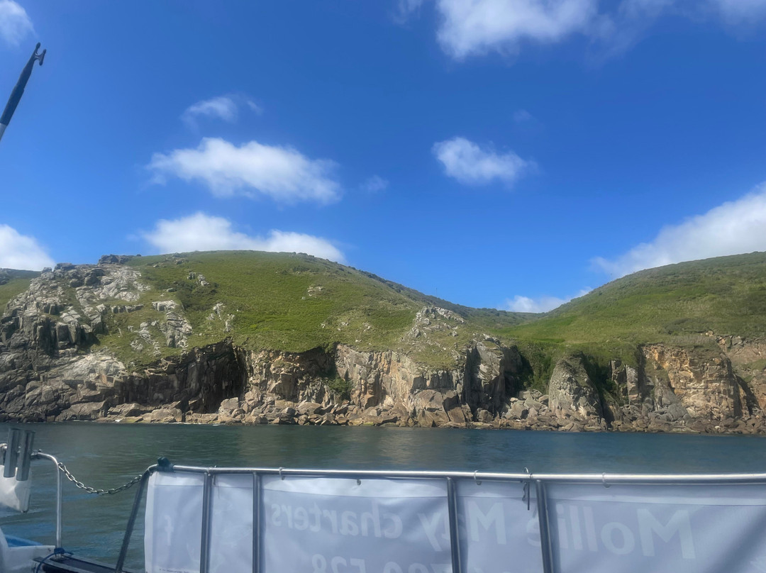 Mollie May Pleasure Trips-Newlyn必去景点