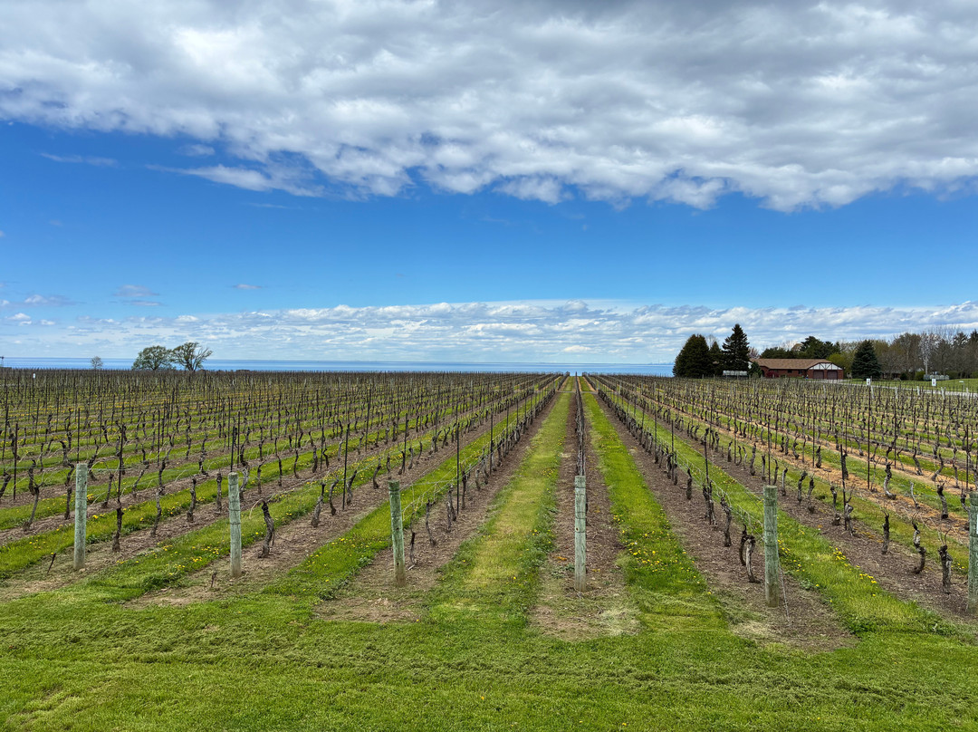Konzelmann Estate Winery-滨湖尼亚加拉必去景点