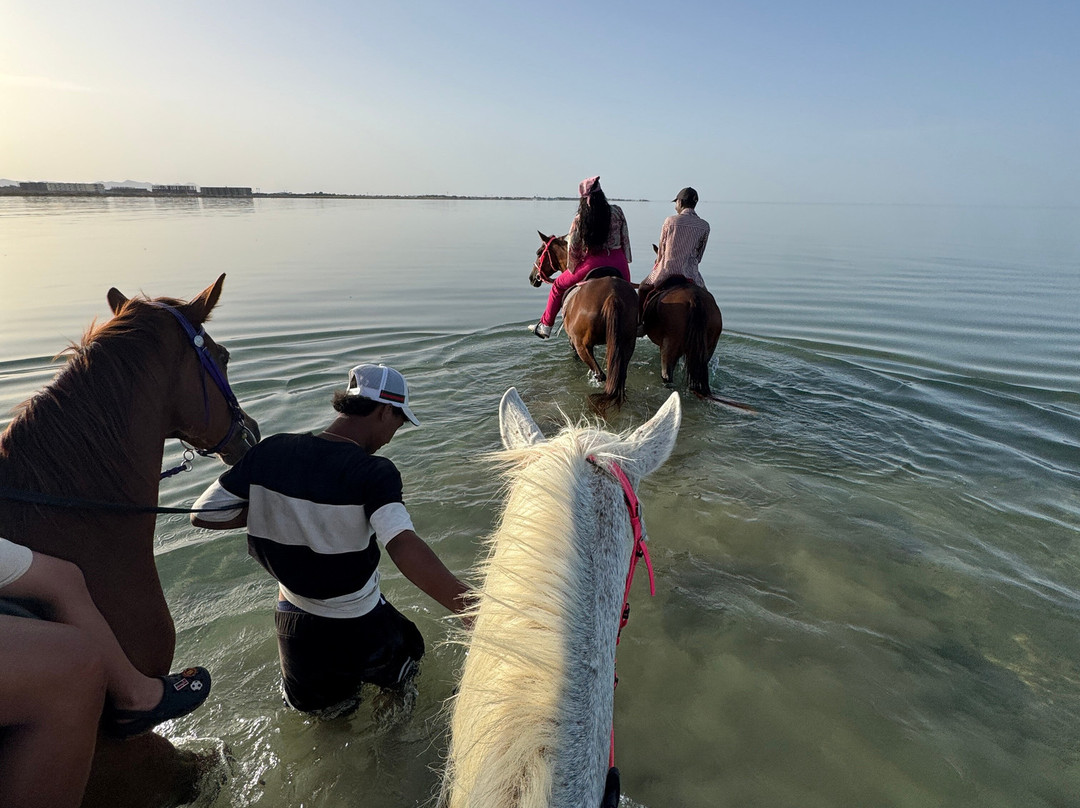 Mokly Tours-Hurghada 2必去景点