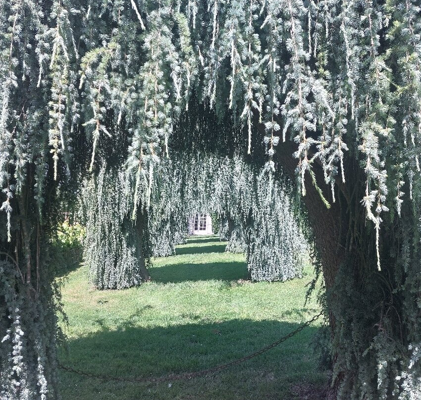 Eyrignac et ses Jardins-Salignac-Eyvigues必去景点