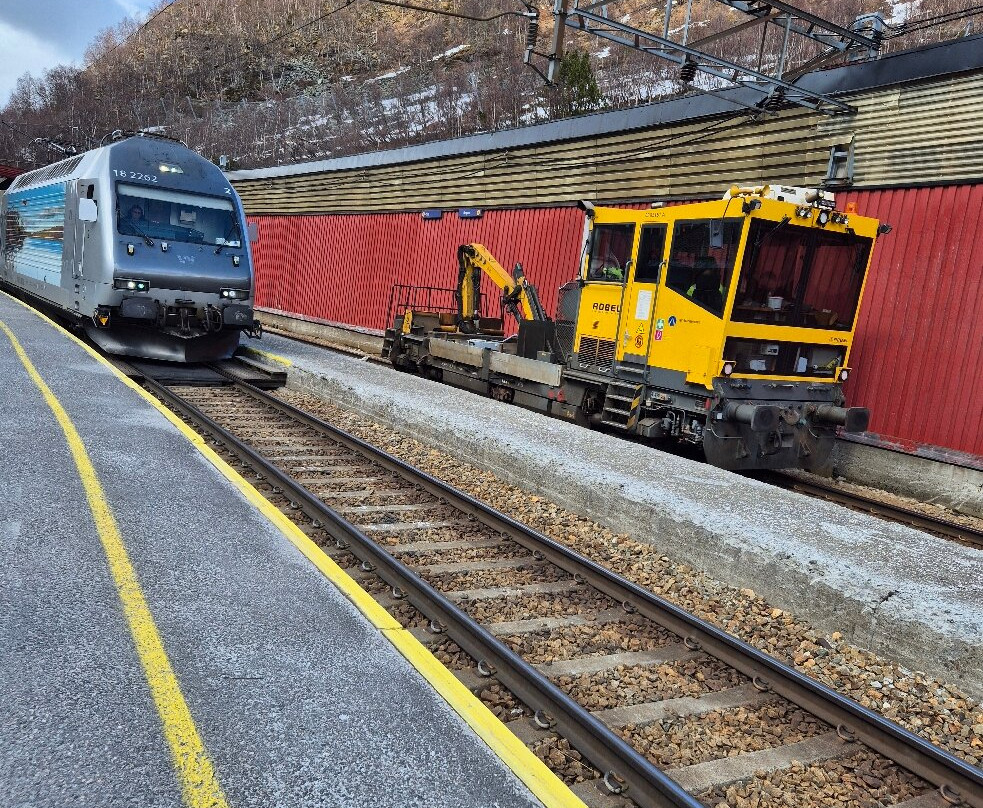 The Bergen Railway-奥斯陆必去景点