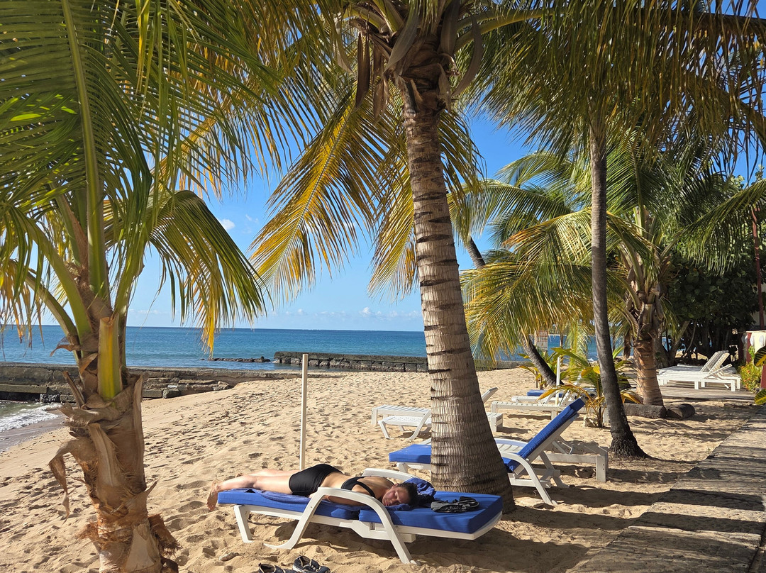 Sandy Point Beach Club主图