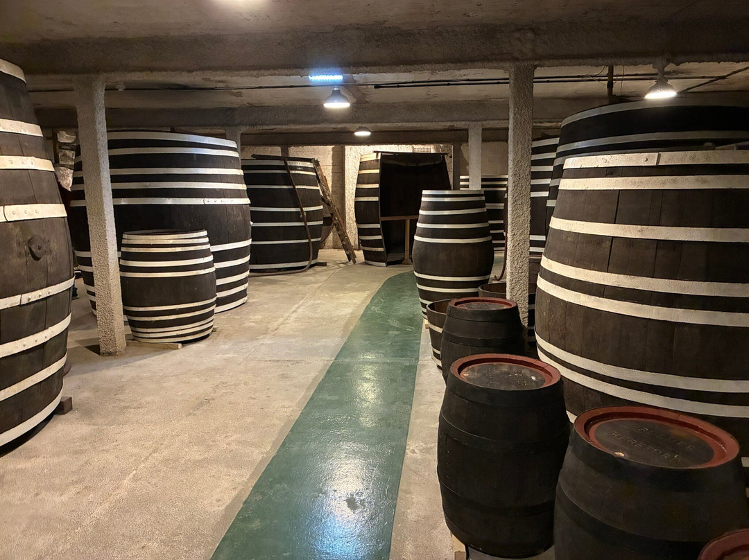 Museum of Cider-赫里福德必去景点
