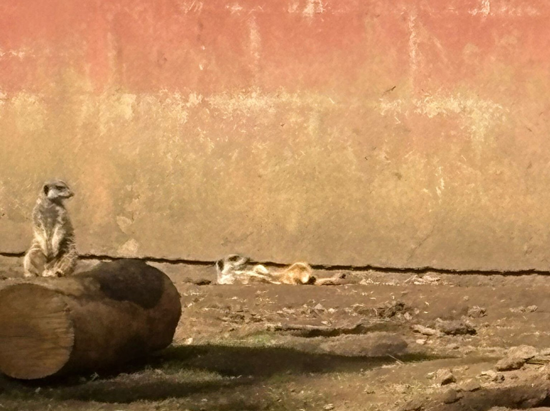 Bridlington Animal Park-布里德灵顿必去景点