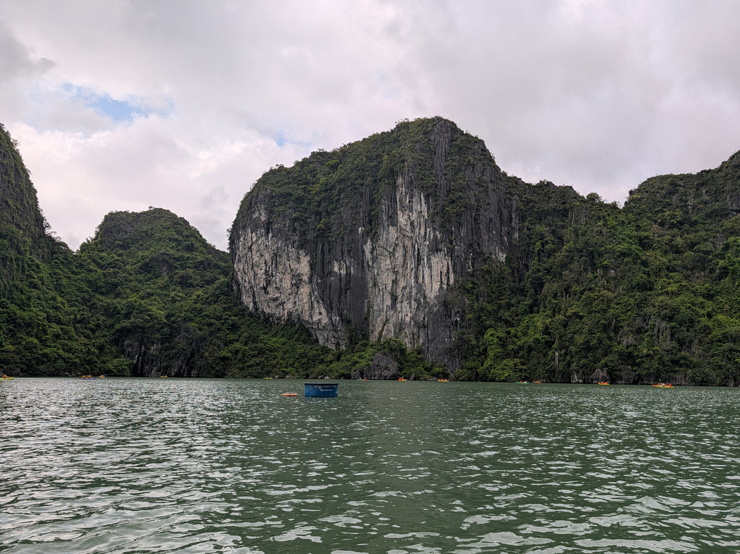 Aime'e Cruises-Quang Ninh必去景点