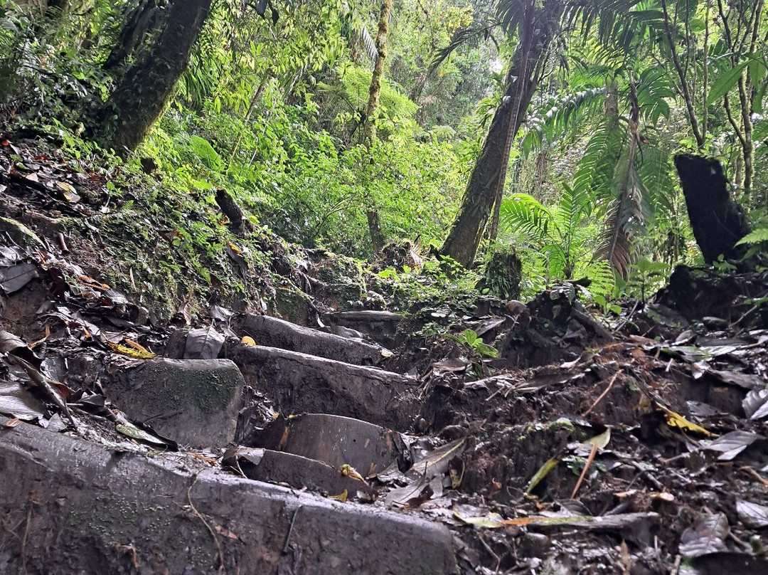 The Lost Waterfalls-Boquete-波魁特必去景点