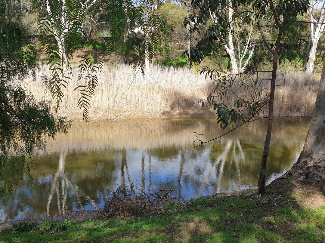 Riverton Duckpond-Riverton必去景点