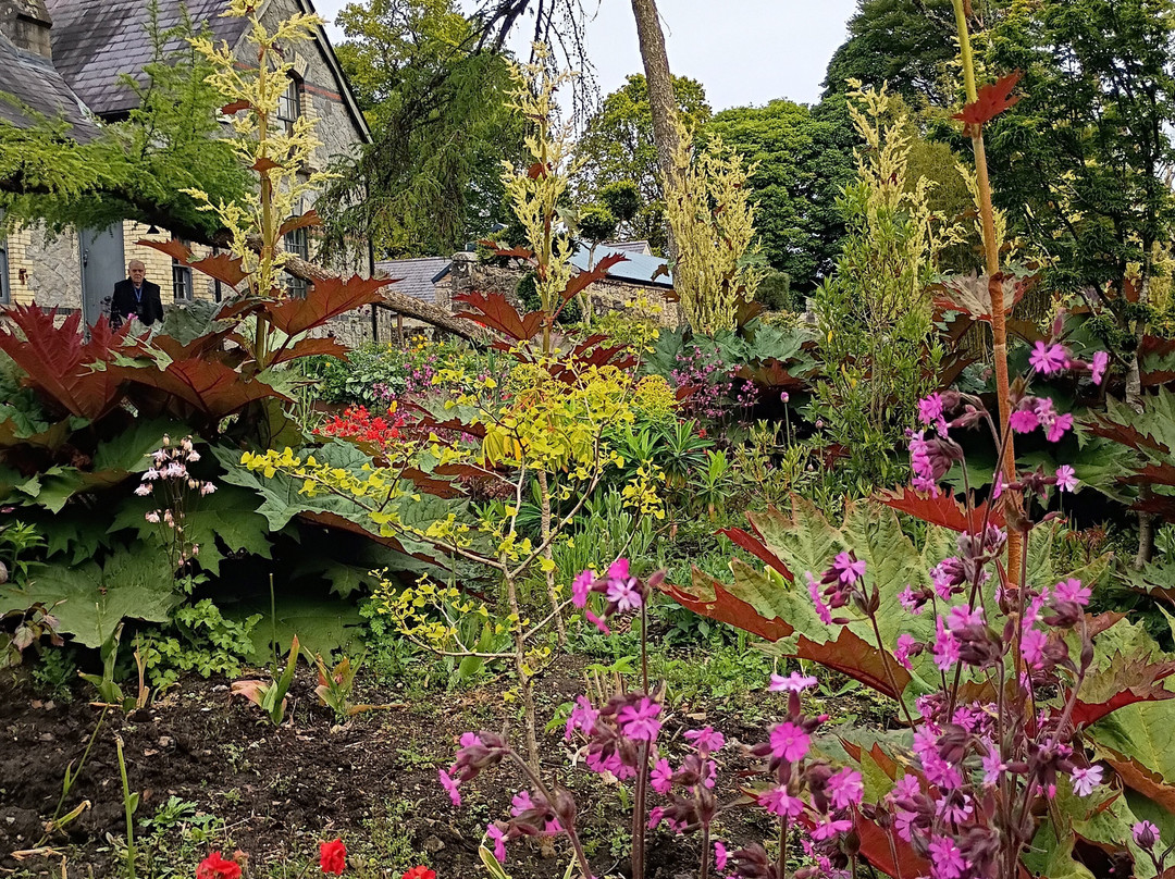 June Blake's Garden-Blessington必去景点